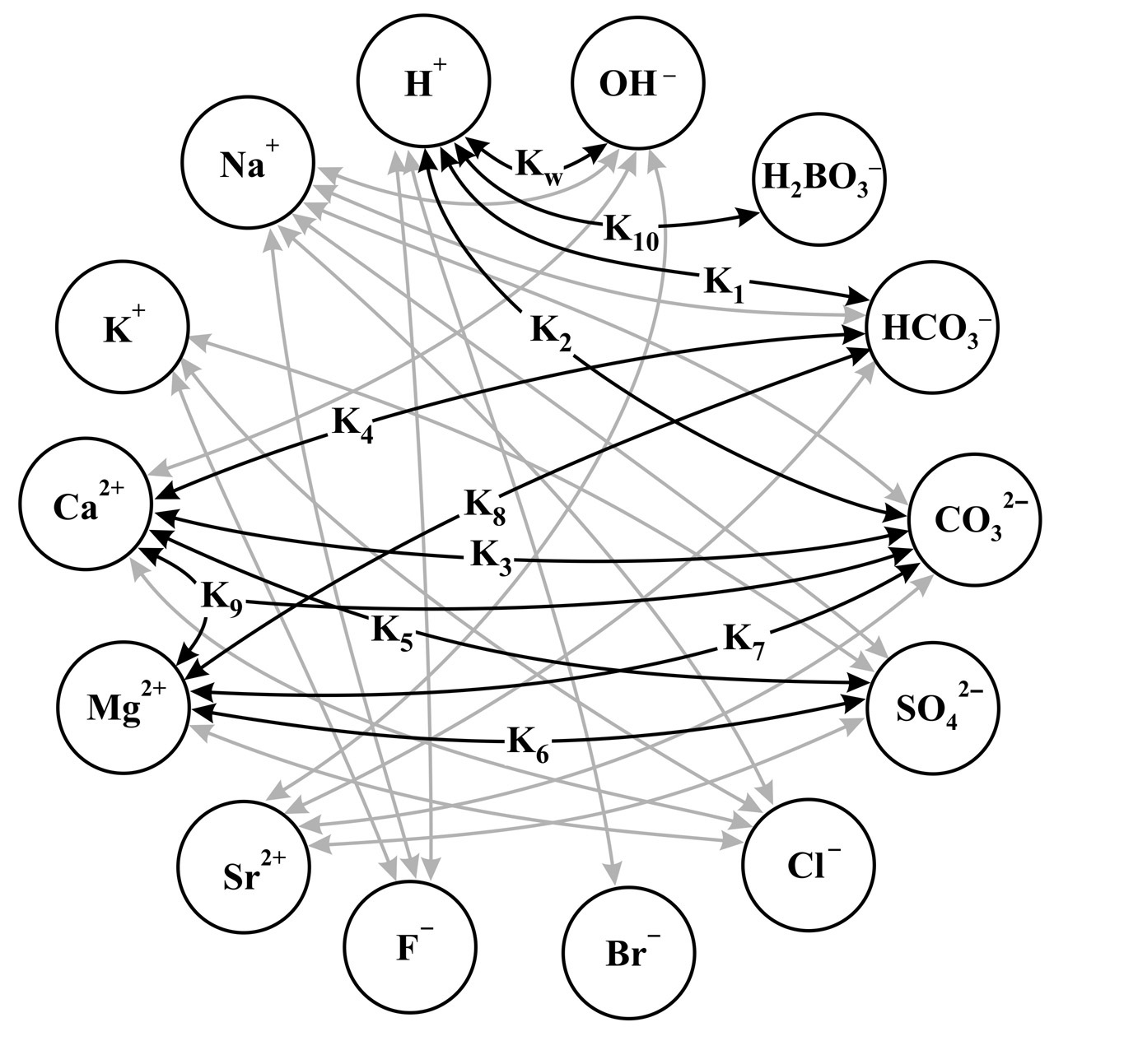  

Simplified model of the interaction of major ions in seawater.
Na+, K+, Mg2+, Ca2+, Sr2+, Cl –, SO42–, H2BO3–, Br–, F –, HCO3–, CO32–, OH – and H + 
System of 65 equations with unknowns.
Math Chem. SALTCOM.ORG
  
